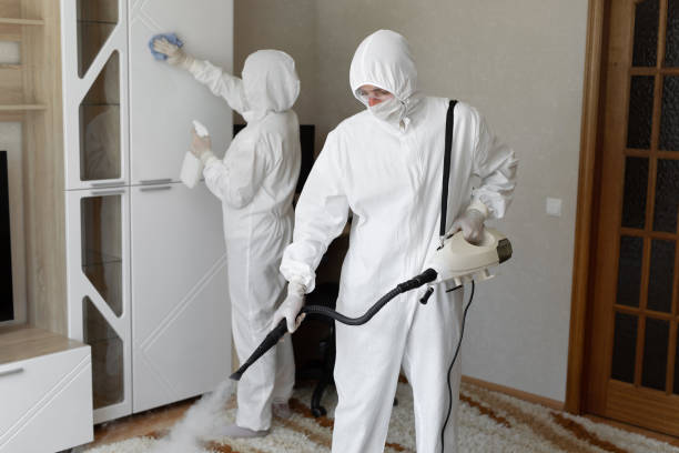 24/7 Emergency Odor Removal experts in Weston, NJ